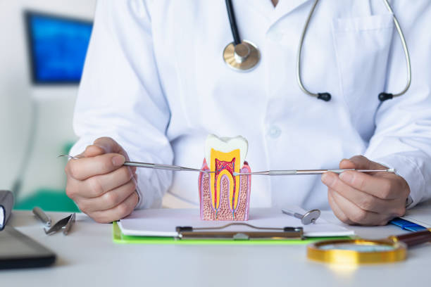 Best Pediatric Emergency Dentist in Ball Pond, CT